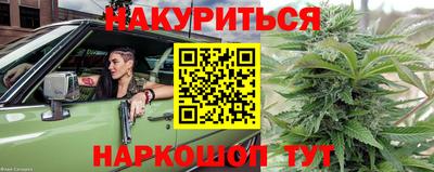 стаф Кандалакша