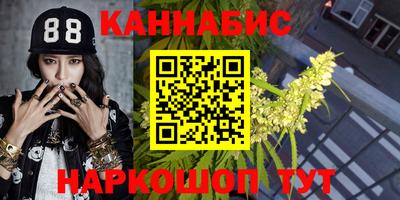стаф Кандалакша