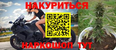 крисы Канаш
