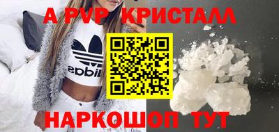 СК Кингисепп