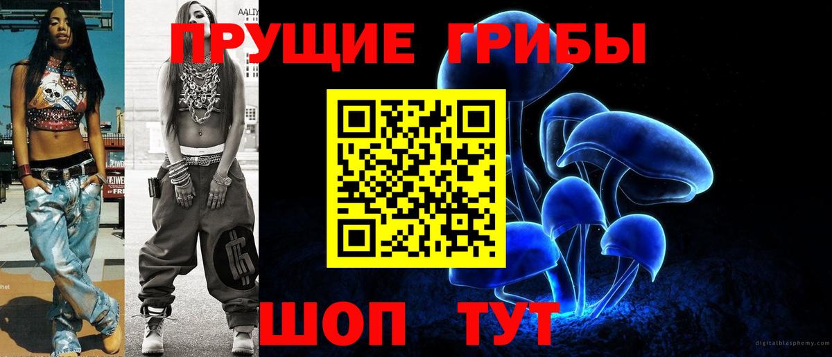 Галлюциногенные грибы Cubensis  Вход с VPN  Тосно 